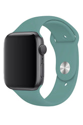Curea Ceas Apple Watch Silicon Clasic Cactus Green - WATCHERS